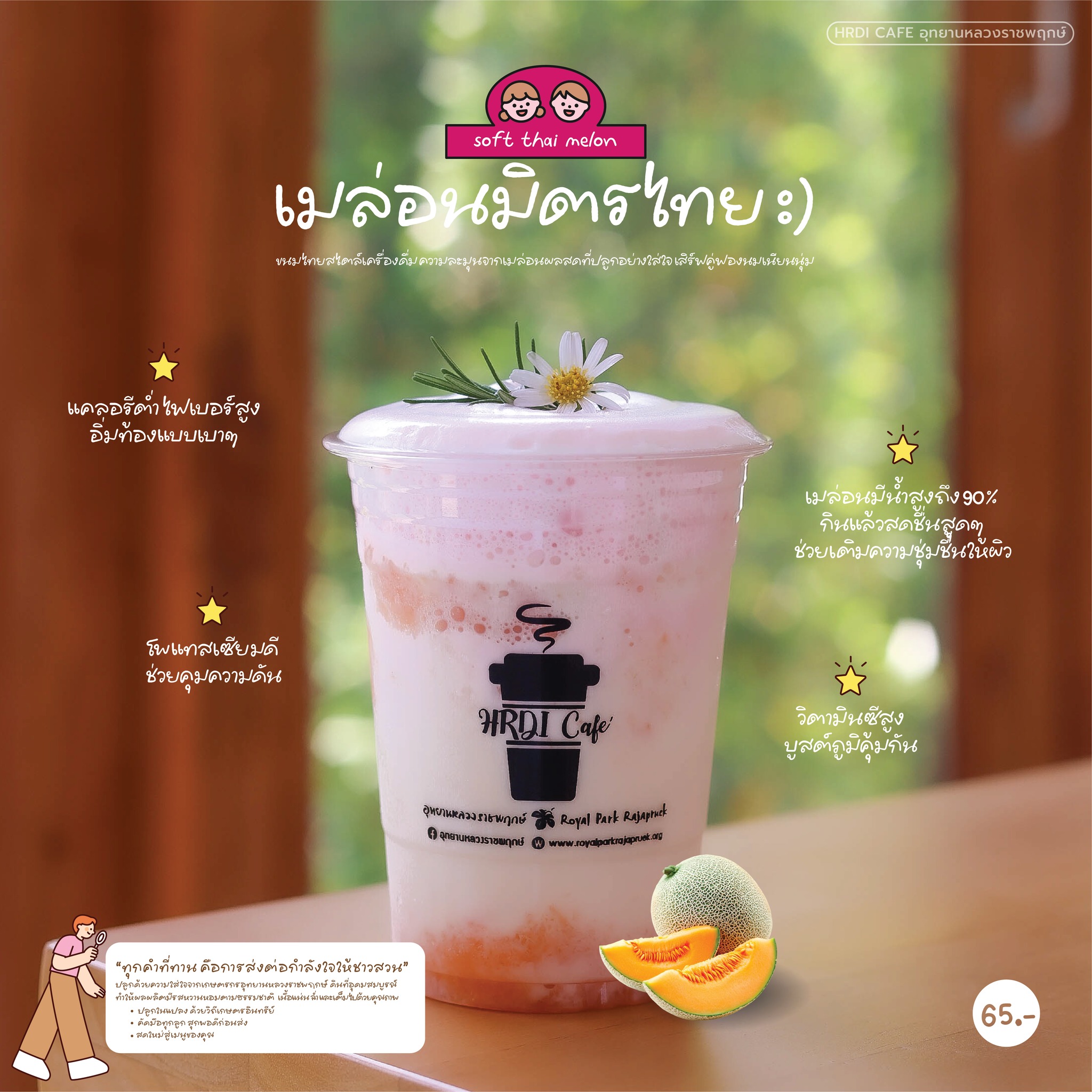  เมล่อนมิตรไทย 