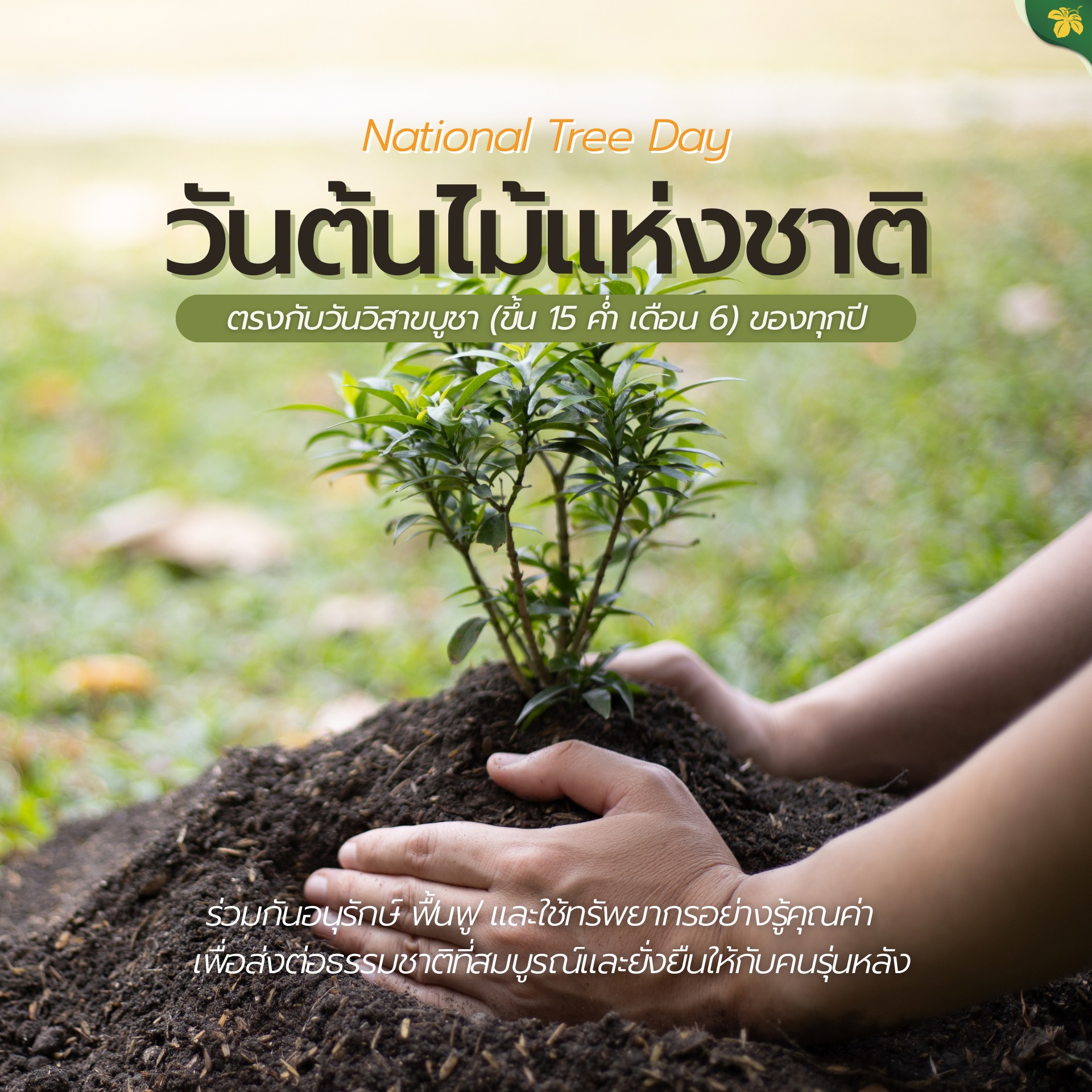  วันต้นไม้แห่งชาติ (National Tree Day)   ตรงกับวันวิสาขบูชาของทุกปี 