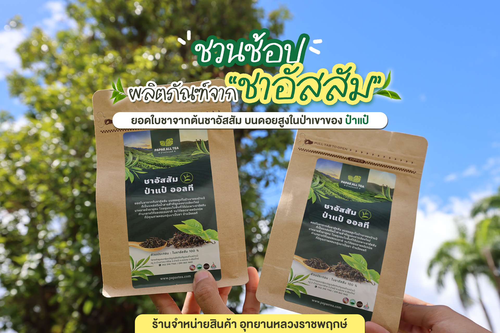 ชวนช้อป! สินค้าใหม่จาก “ชาอัสสัม” ป่าแป๋ ღ