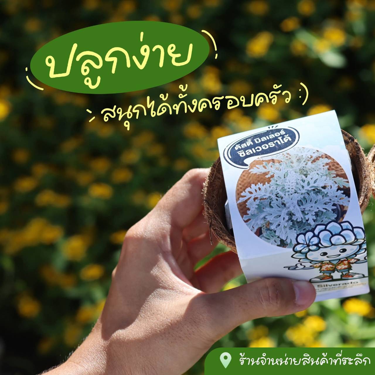☺ ชวนช้อป!  “ชุดพันธุ์ไม้พร้อมปลูก” ✪ กิจกรรมสนุกสำหรับทุกคนในครอบครัว ♣︎❣︎
