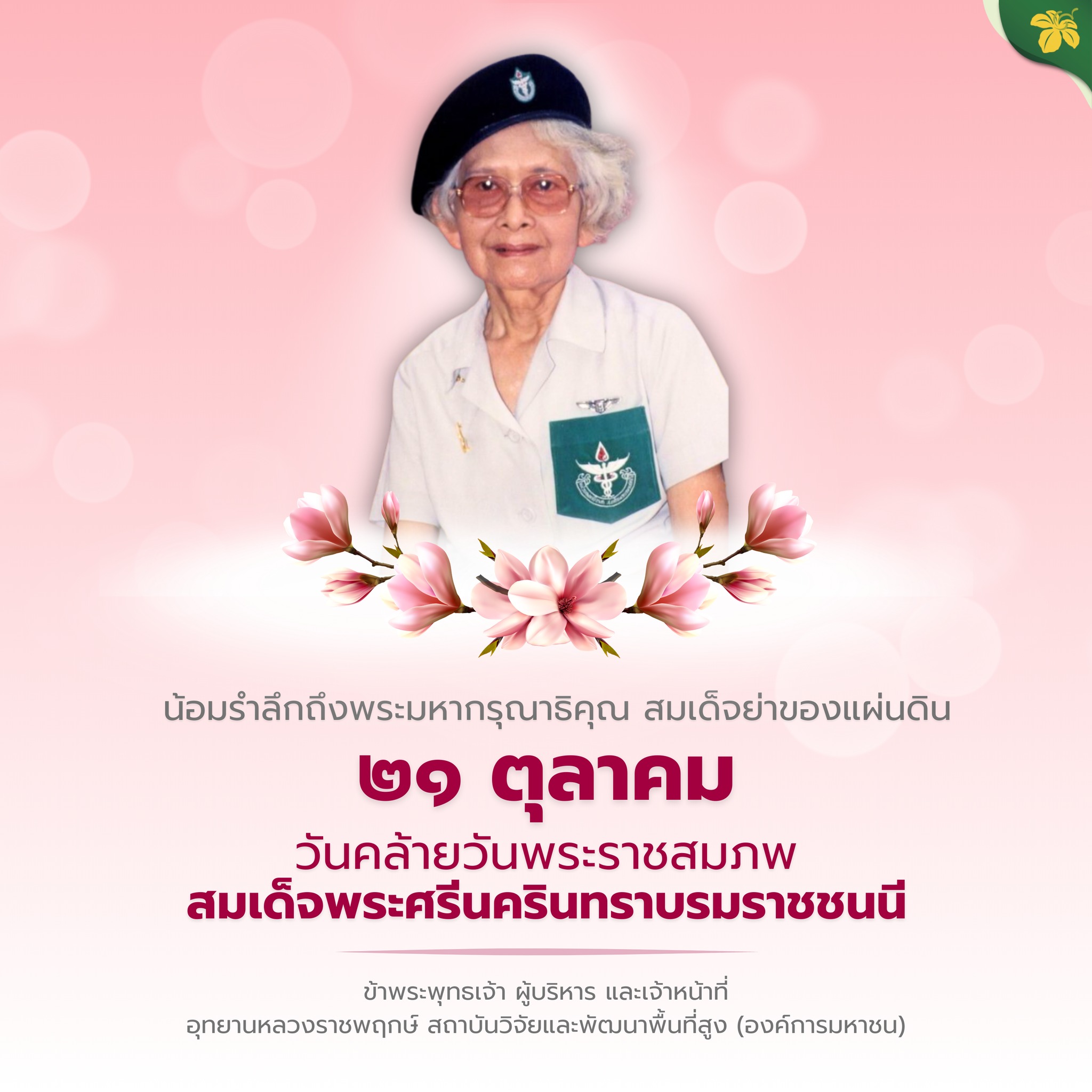 น้อมรำลึกในพระมหากรุณาธิคุณ  สมเด็จย่าของแผ่นดิน ♡✧