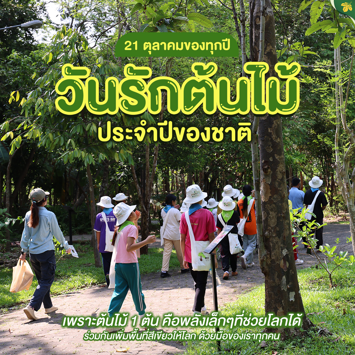 21 ตุลาคม “วันรักต้นไม้ประจำปีของชาติ” ☘︎วันสำคัญที่ระลึกถึงพระมหากรุณาธิคุณของ สมเด็จพระศรีนครินทราบรมราชชนนี ผู้ทรงเป็นแรงบันดาลใจในการอนุรักษ์และฟื้นฟูธรรมชาติ