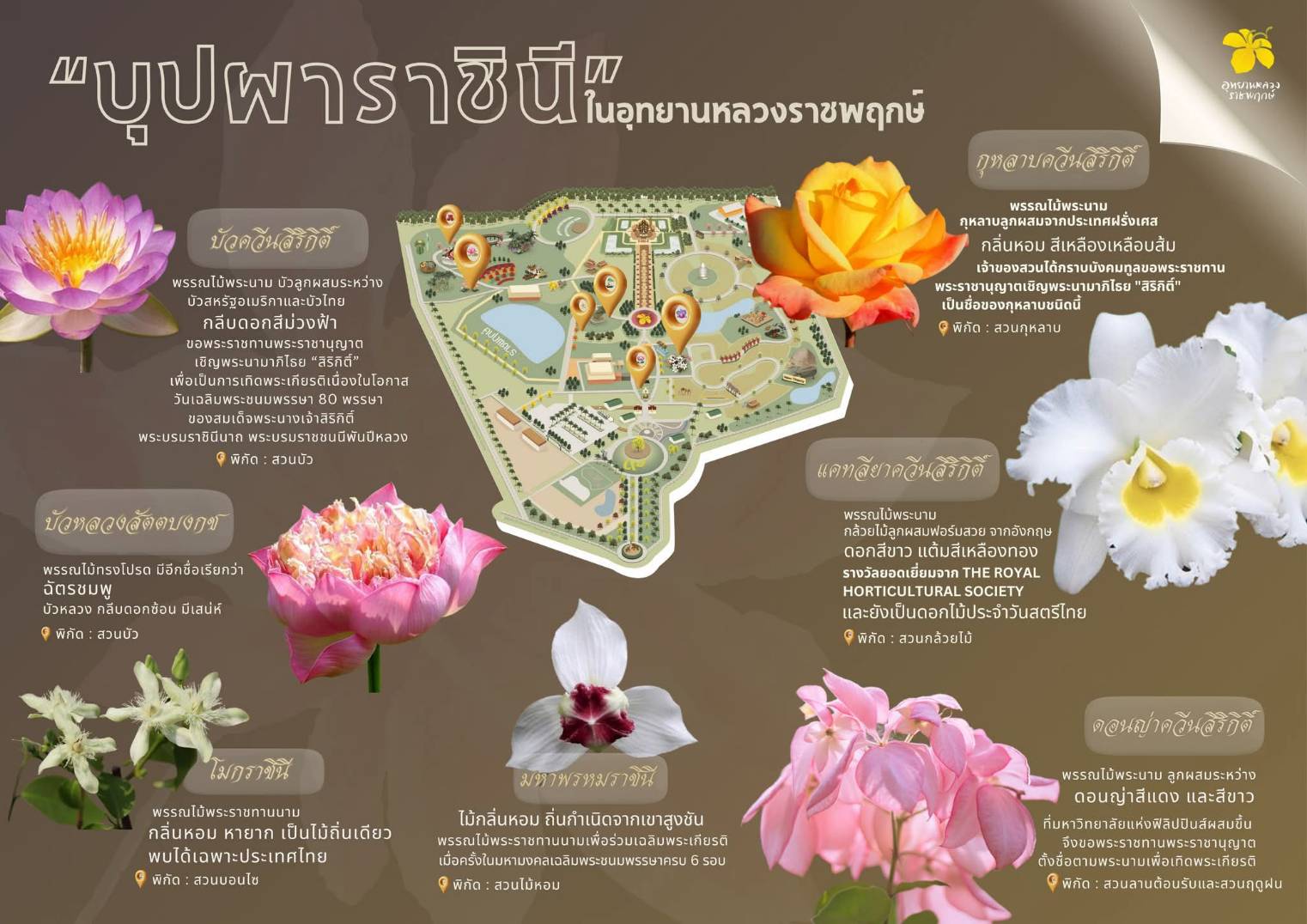 สวัสดีค่ะ❤︎ ❀วันนี้เพจอุทยานหลวงราชพฤกษ์เราได้รวบรวมเรื่องราวของ “บุปผาราชินี” ❀❤︎