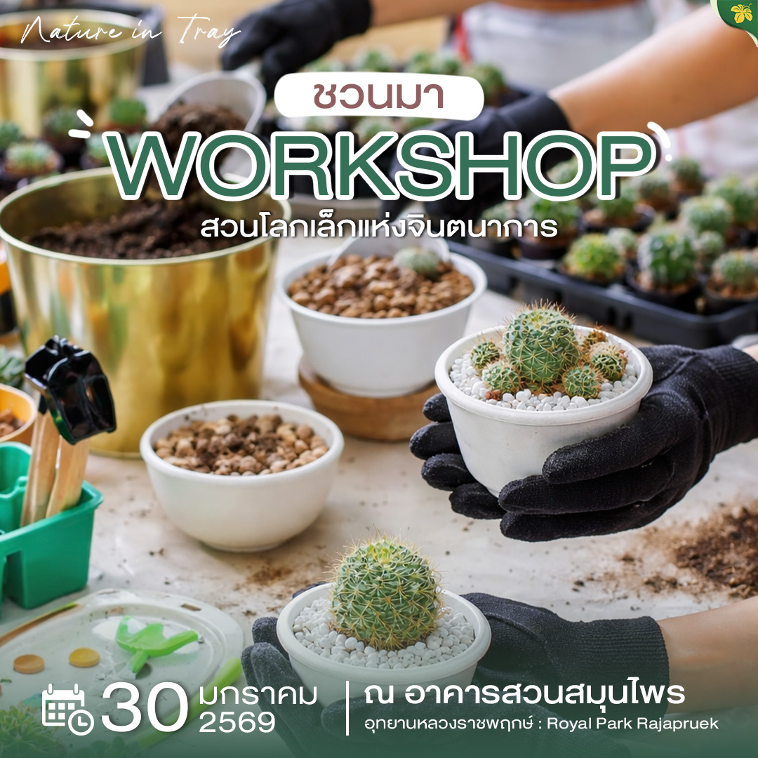 ♧✧ ชวนมาสร้าง “สวนโลกเล็กแห่งจินตนาการ” ด้วยมือของคุณ ✧♧ 