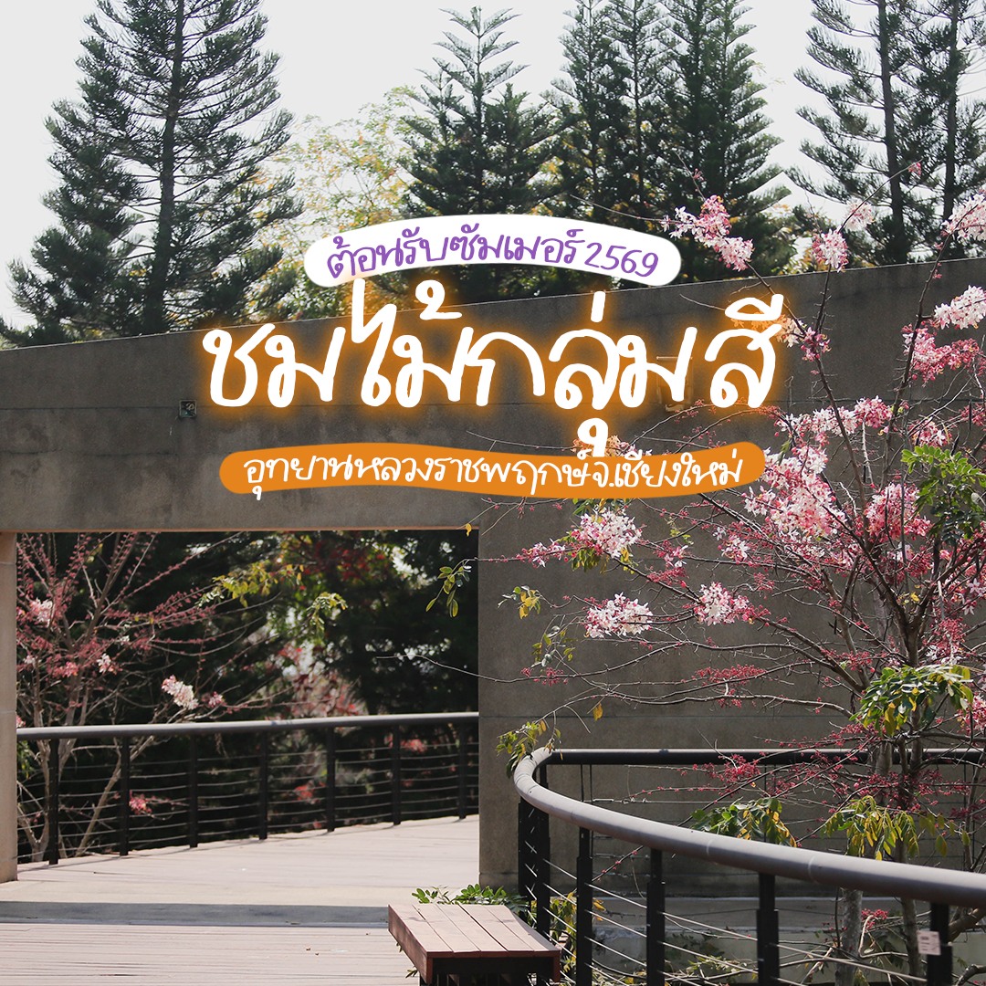 ♣︎❀ชมไม้กลุ่มสี ต้อนรับซัมเมอร์ 2569❀♣︎