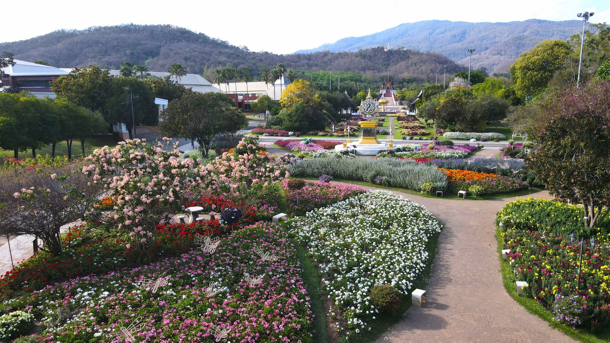 ❀เปิดให้ชมทุกวัน…สวนสวยตลอดทั้งปี  ที่ “อุทยานหลวงราชพฤกษ์” 