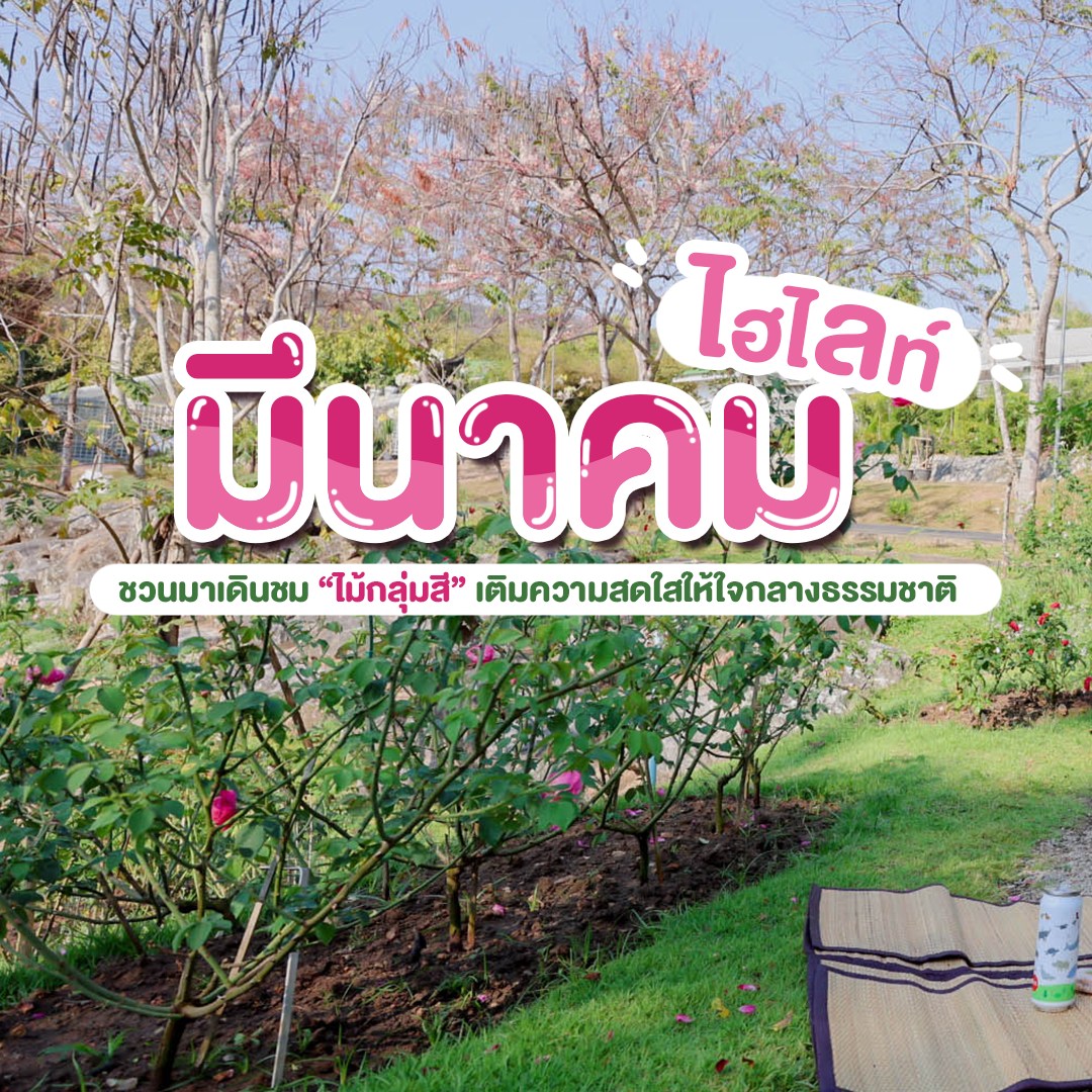 ❀✧ ไฮไลท์เที่ยวสวน เดือนมีนาคม 2569 ที่ อุทยานหลวงราชพฤกษ์ 