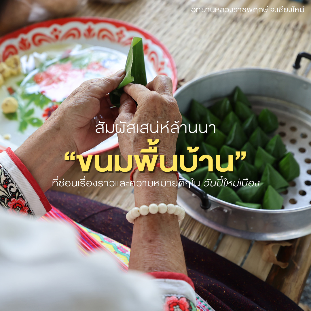 ❀ ✦ขนมมงคลแห่งปี๋ใหม่เมือง “ขนมจ๊อก (ขนมเทียน) และข้าวแต๋น” ✦❀