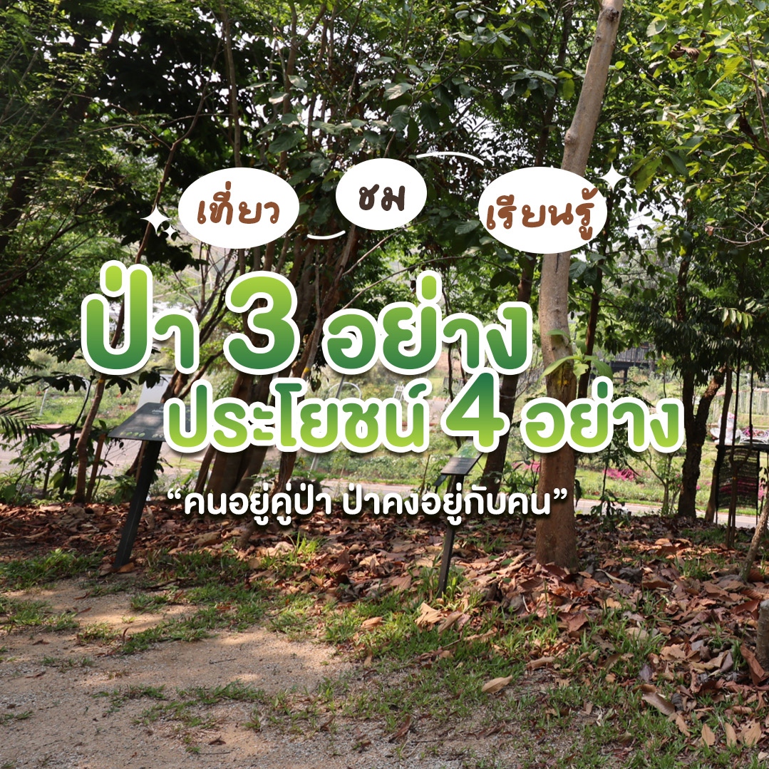 “ปลูกป่า…ได้มากกว่าที่คิด”