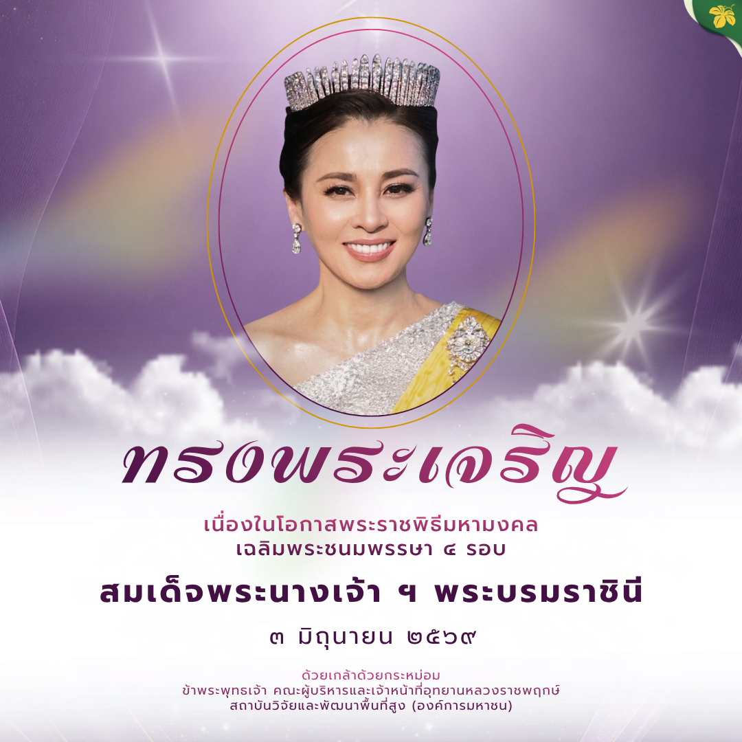 20260602-6a1ea45601f97.png