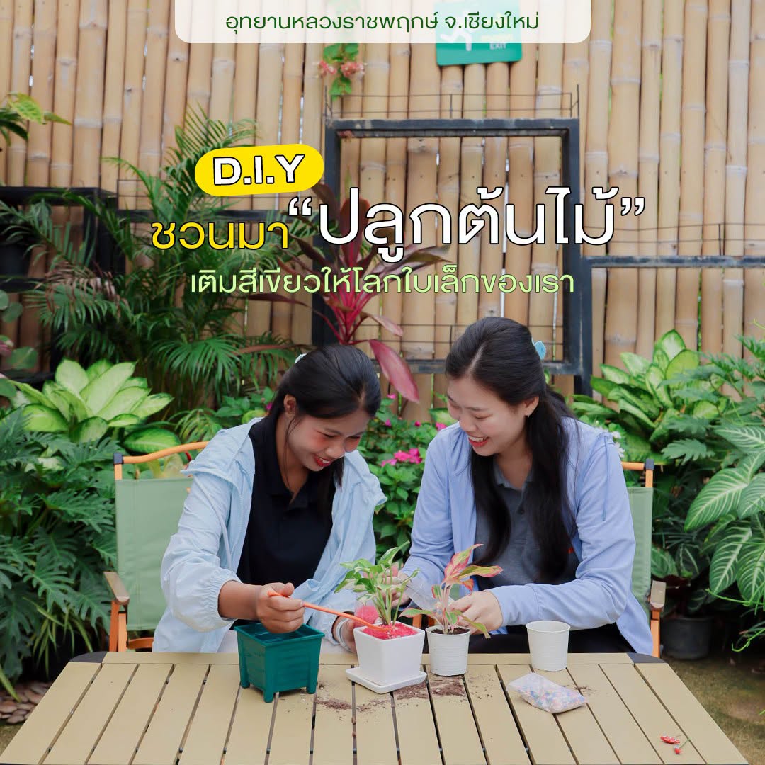  ชวนเพื่อนมา DIY Eco-Friendly Series  ปลูกต้นไม้ เพิ่มพื้นที่สีเขียว