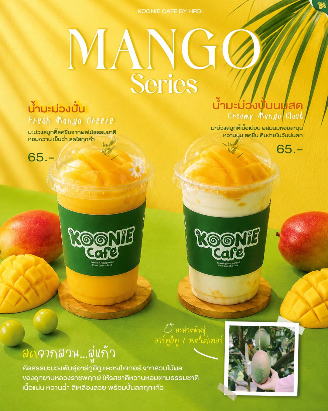 มาแล้ว เมนูพิเศษประจำเดือน กรกฎาคม   MANGO Series มาแล้ว!  เติมความสดชื่นกับเมนูมะม่วงปั่น ที่คัดสรรมะม่วงคุณภาพจาก สวนไม้ผลของ อุทยานหลวงราชพฤกษ์