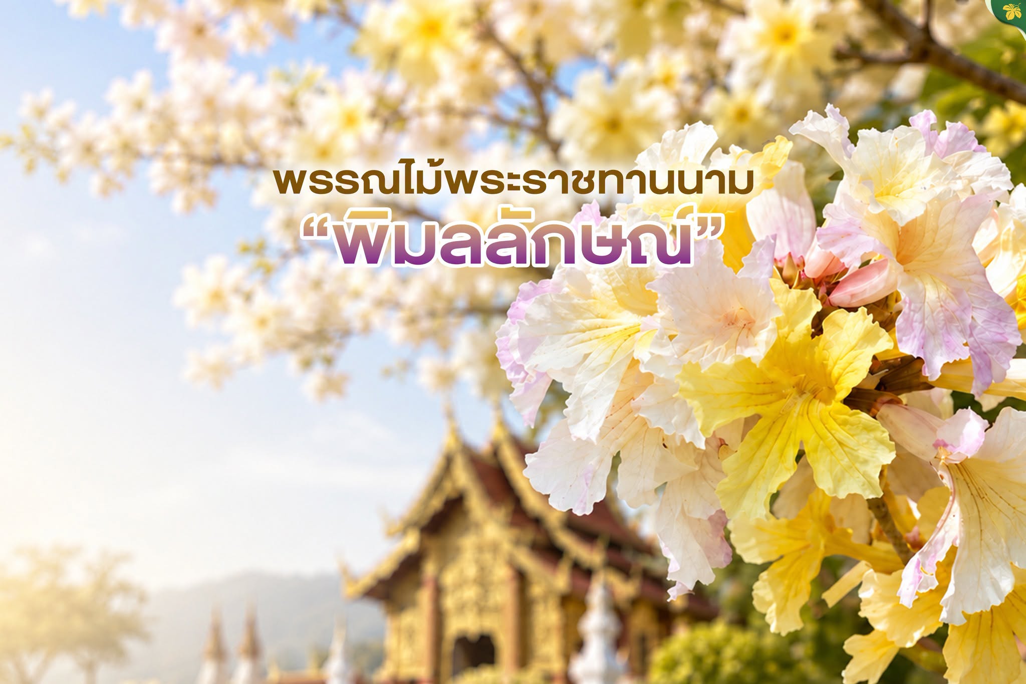 พิมลลักษณ์..พรรณไม้พระราชทานนาม
