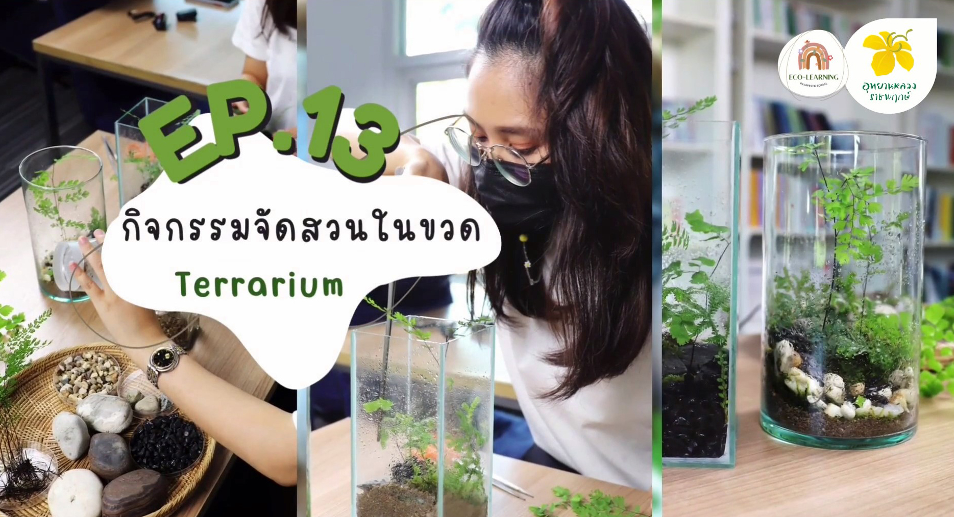 กิจกรรมสวนถาด | Eco-learning with Rajapruek School