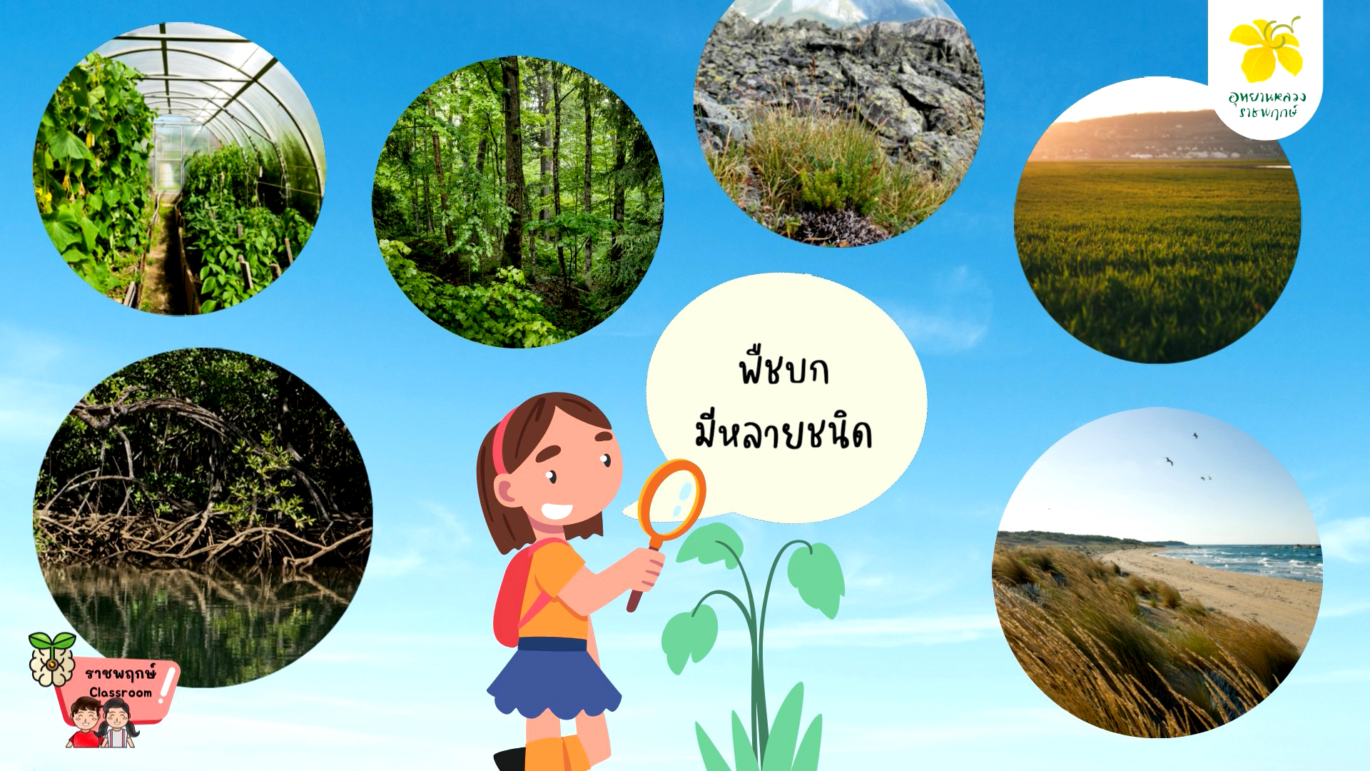 ราชพฤกษ์ Classroom | ความแตกต่างของ "พืชบก และพืชน้ำ"