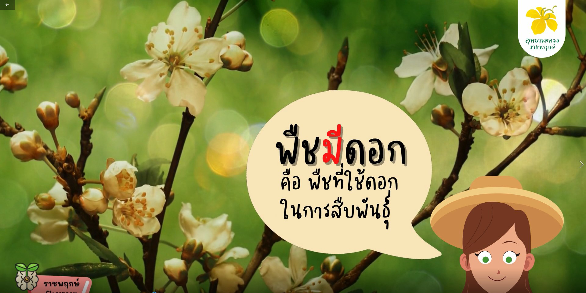 ราชพฤกษ์ Classroom | การจำแนกพืช