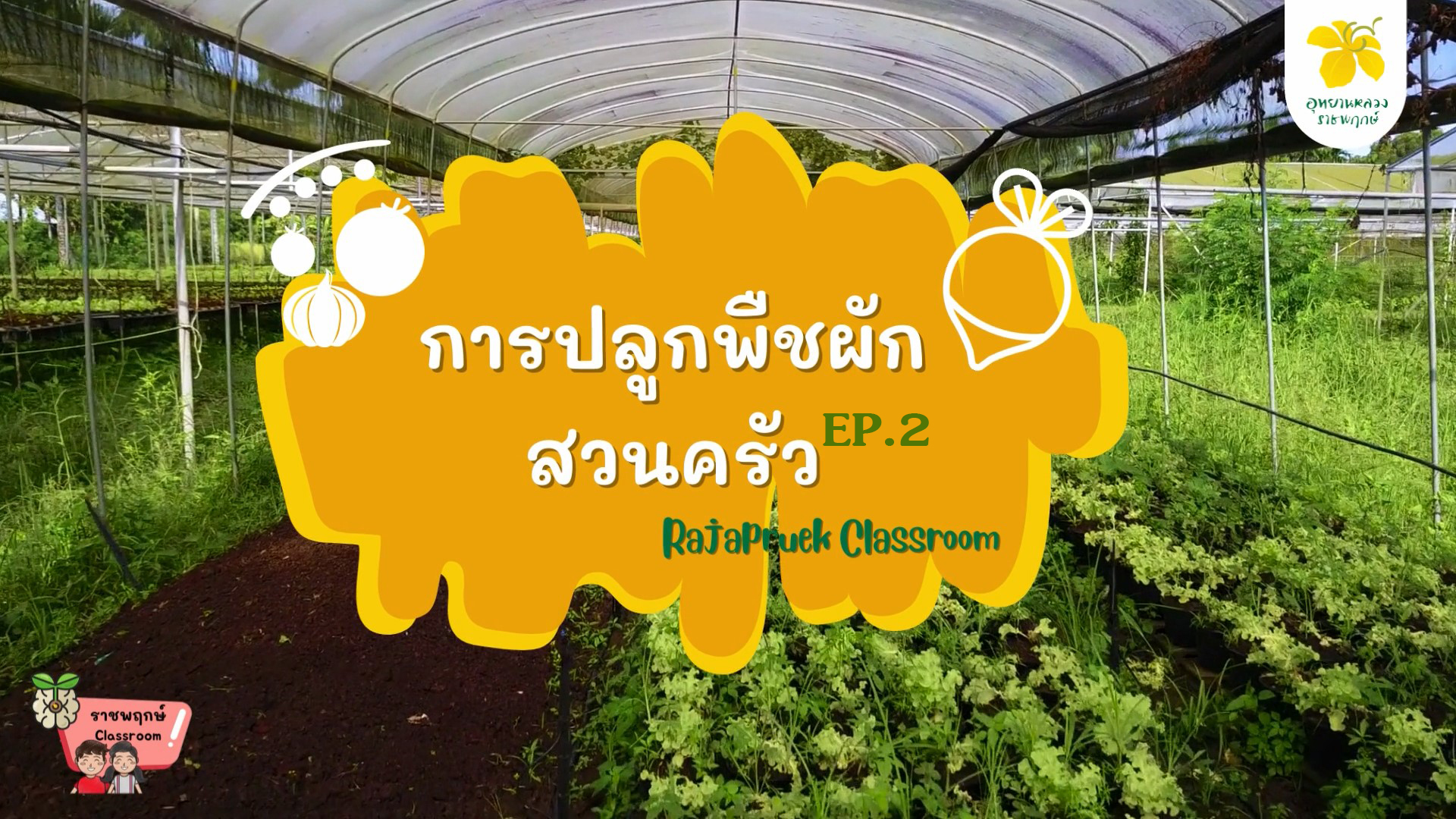 การปลูกพืชผักสวนครัว EP.2 | ราชพฤกษ์ Classroom