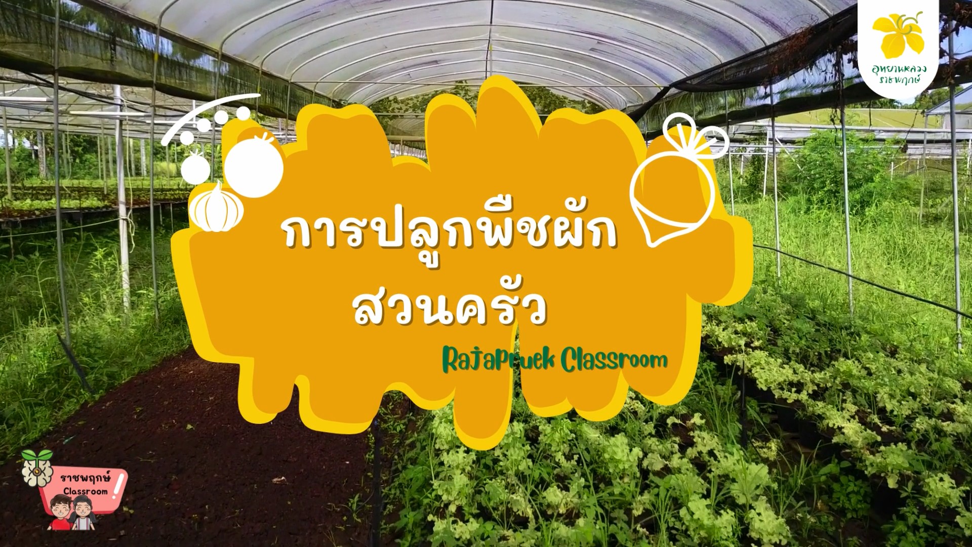 การปลูกพืชผักสวนครัว | ราชพฤกษ์ Classroom
