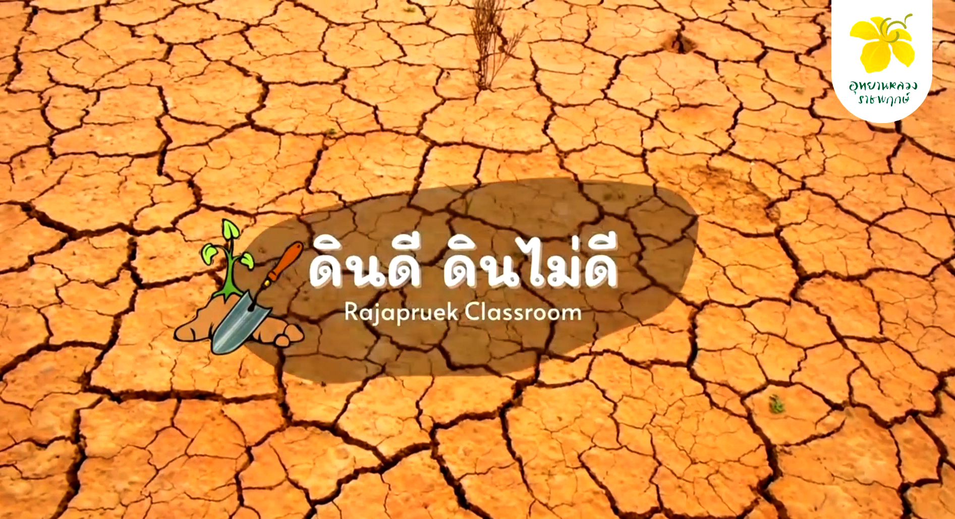 ราชพฤกษ์ Classroom | ดินดี vs ดินไม่ดี