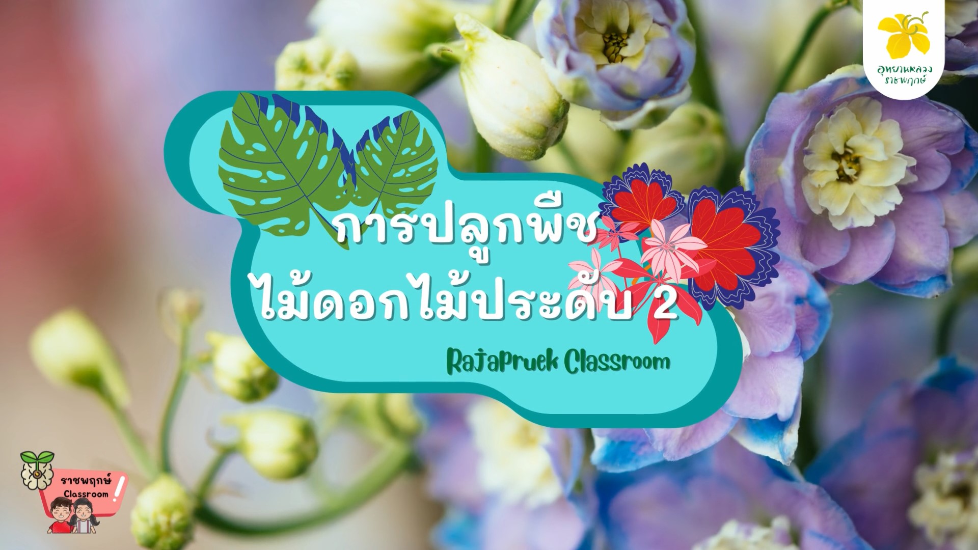 การปลูกพืชไม้ดอกไม้ประดับ EP.2 | ราชพฤกษ์ Classroom