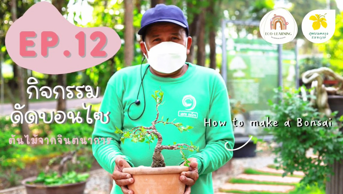 ดัดบอนไซแบบง่าย | Eco-learning with Rajapruek School